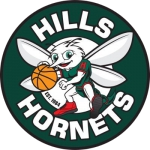 Hills Hornets logo